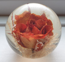 HAFOD GRANGE LUCITE ROSE
