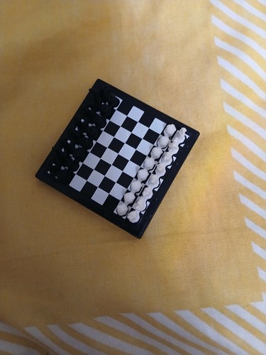 Harry potter wizards chess - wizards,