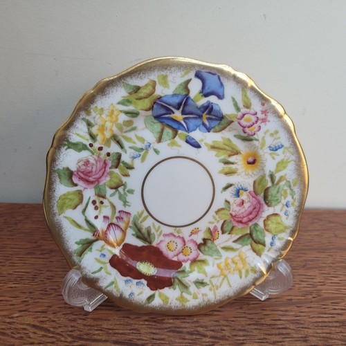 Vintage hammersley queen - hammersley,