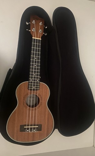 Ukulele with gig - and, tuner