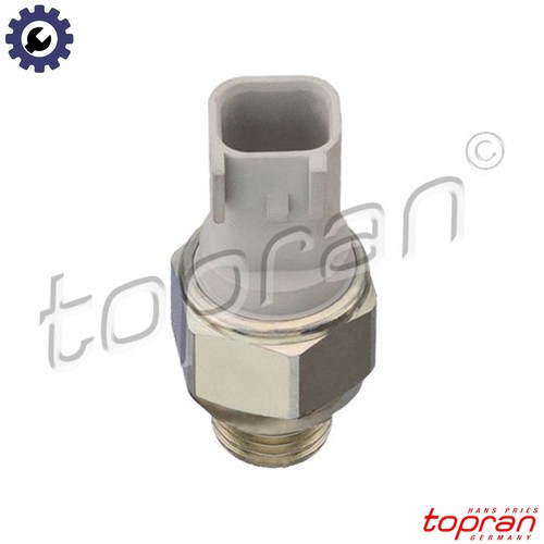 Switch reverse light - switch, 304