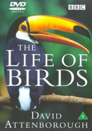 David attenborough the life - david,