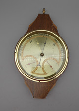 #F Vintage SB Shortland