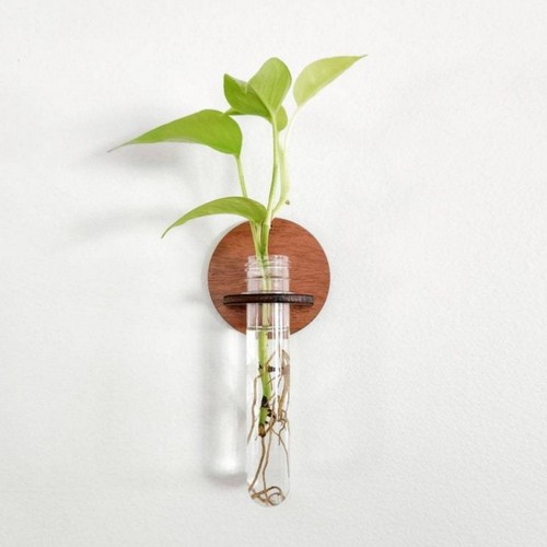 Piece wooden plant - wooden, for
