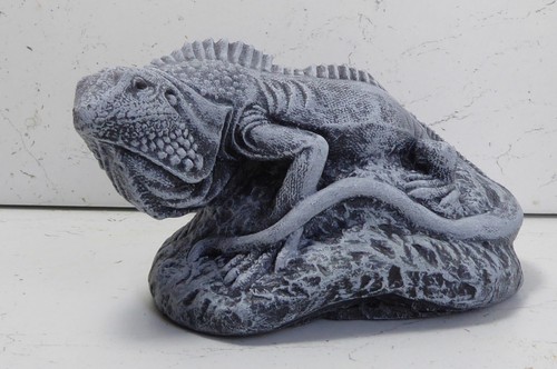 Iguana lizard gecko hand - iguana,