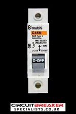 MERLIN GERIN 32 AMP TYPE 2 M6