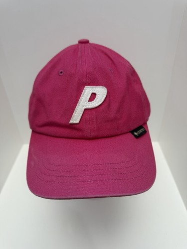 Palace gore tex pigment - gore-tex, p