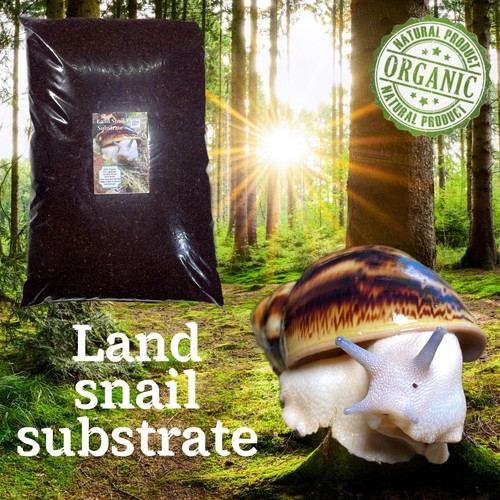 Land snail substrate frogs - snail,