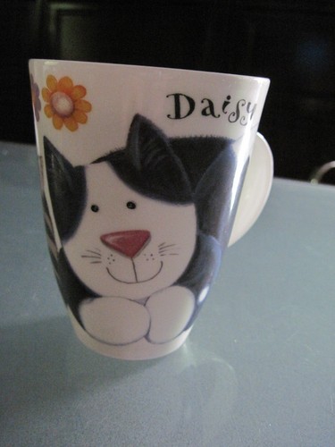 Roy kirkham cat paws - roy,