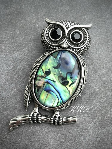 Owl abalone shell - abalone,