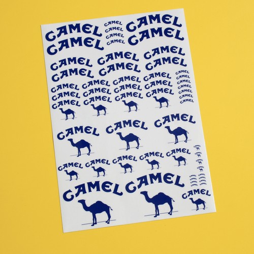 10th scale camel - rc,