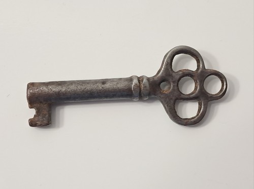 Antique vintage skeleton key - skeleton,