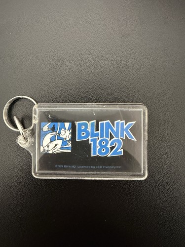 Vintage 1999 blink 182 dude - blink,