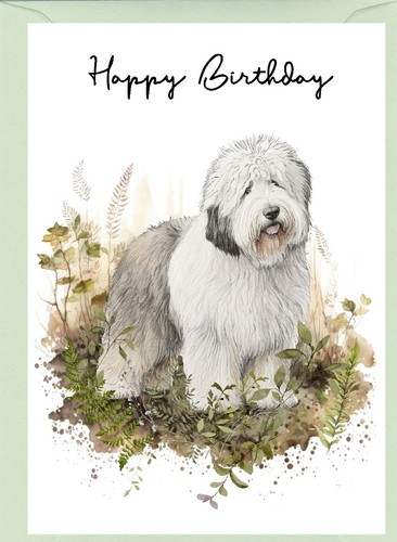 Old english sheepdog - old,