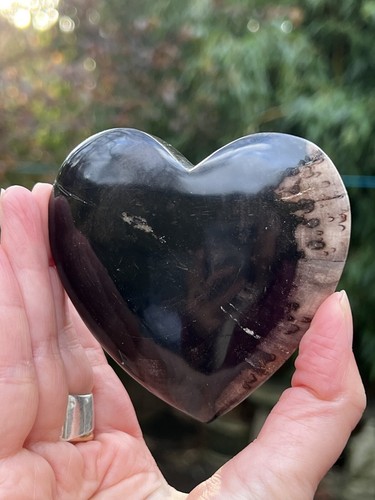 Petrified fossilised wood - petrified,