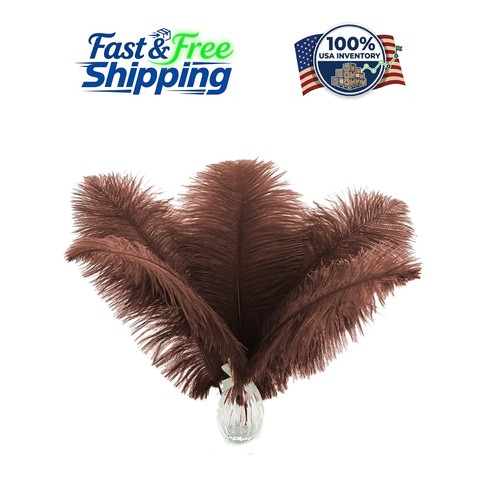 Natural big brown ostrich - natural,