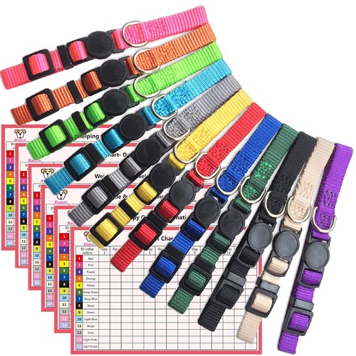 Puppy collars for litter - for,