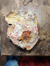 Opalized Petrified Wood