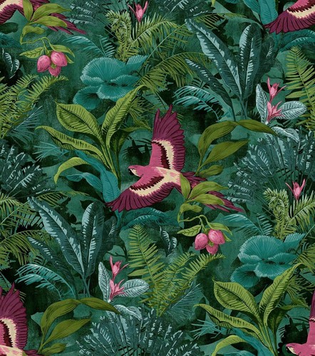 Rasch tropical rainforest - rasch,