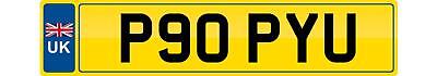 Poppy private number plate - poppy, u