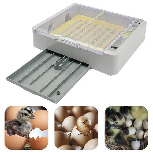 Egg incubator automatic - 36,