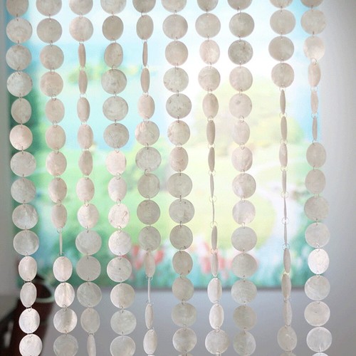 5pcs pure shell - shell, bead
