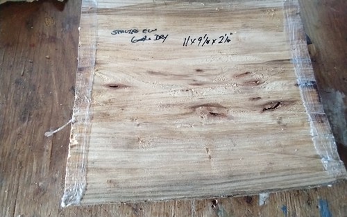 Spalted elm bowl - elm, blank