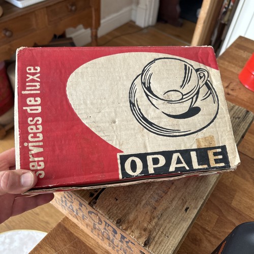 Vintage arcopal france - vintage,