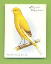 AVIARY & CAGE BIRDS.No.5