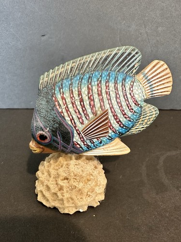 Tropical angel fish coral - tropical, on