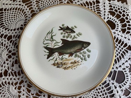 Vintage fish design - vintage,