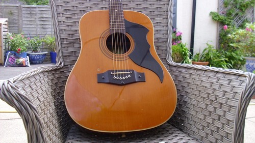 Vintage 1970s eko - ranger, 6