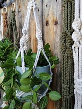 Macrame Plant Hanger, Plant