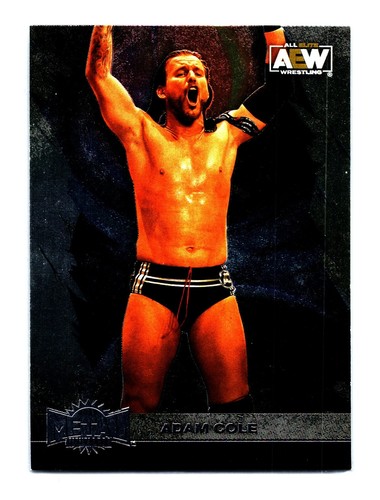 2022 skybox metal - universe, aew