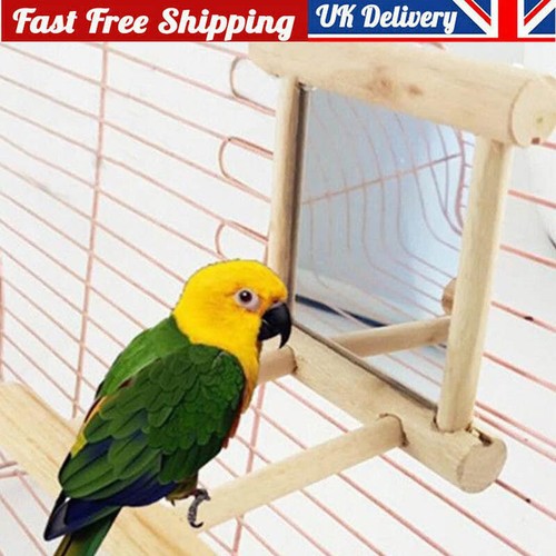 Wooden bird mirror - wooden, interactive