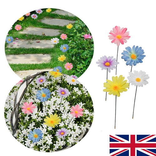 5pcs daisy flower garden - daisy,