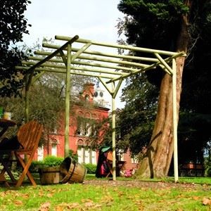 Rustic rose garden pergola - rose,