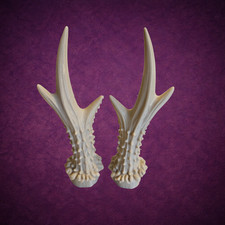 Roe Deer Antlers Costume Props