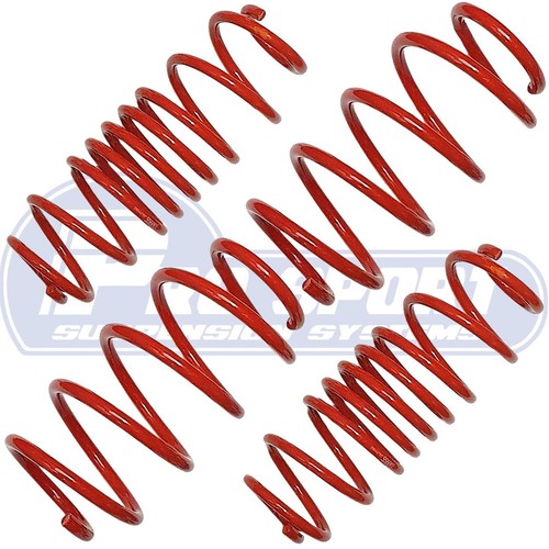 Pro sport lowering - lowering, springs