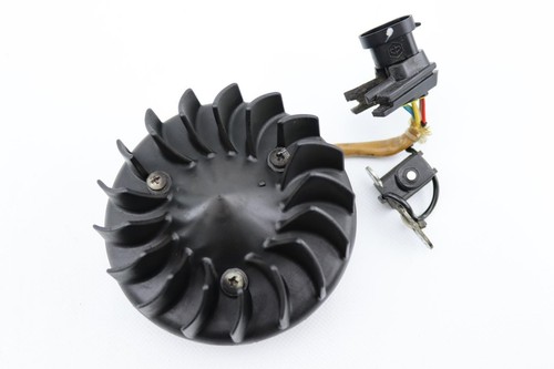 Rotor piaggio zip 2008 - 2008, to