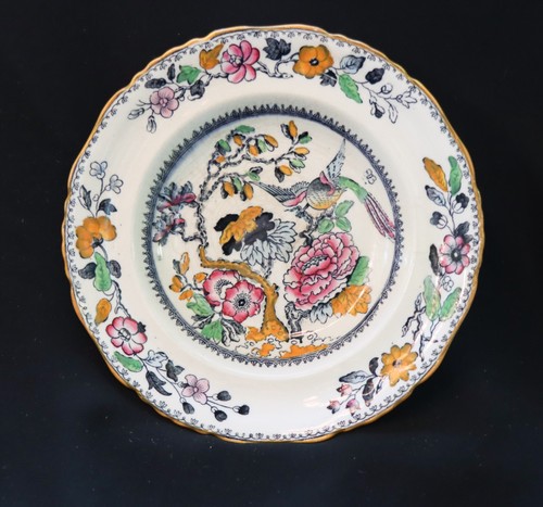Ashworth bros hanley bird - ashworth,