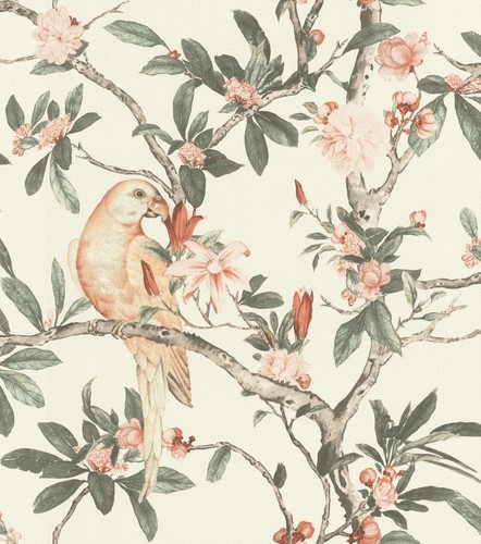 Rasch poetry exotic birds - exotic,