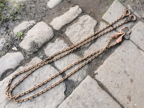 Twin leg 65t 10ft - 2.65t, 3m