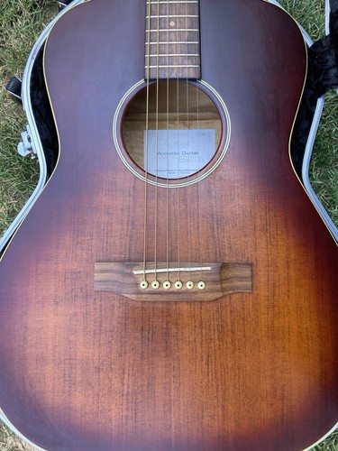 Takamine eg5013s electric - takamine,