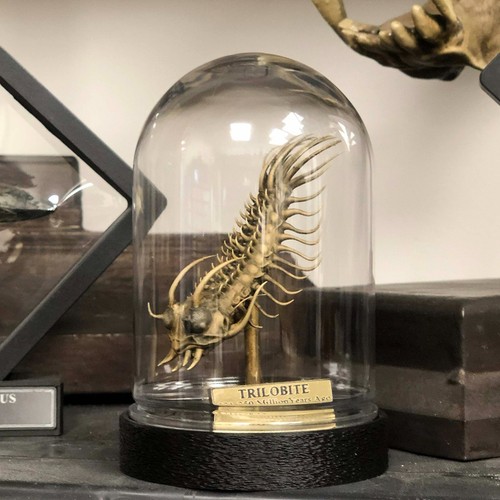Trilobite replica fossil - trilobite,