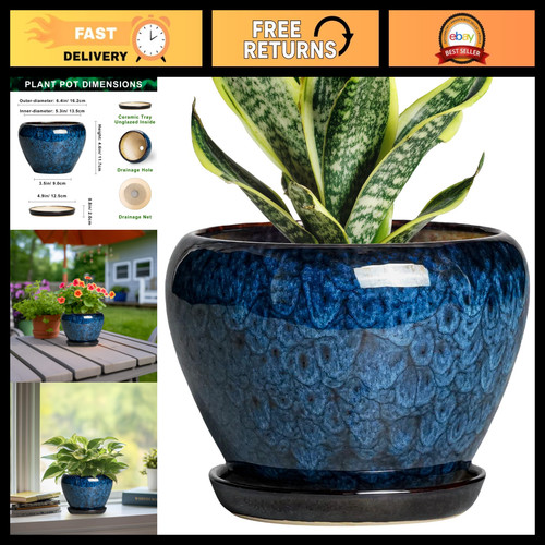 Ceramic plant pot with - 6",