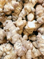 Wholesale Sunchokes: 20lb
