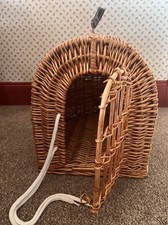 Kitten Cat Small Pet Vintage