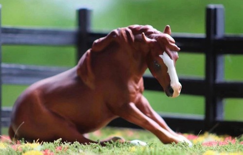 Model horse custom artist - horse,