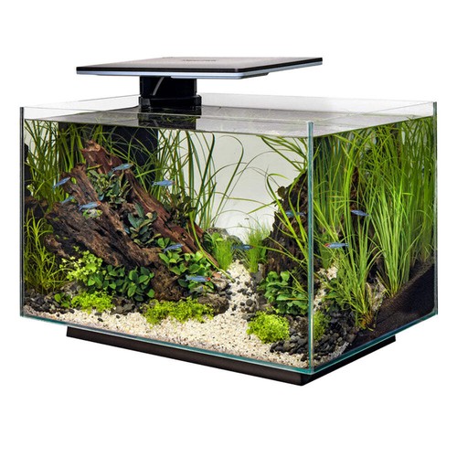Superfish quadro pro - superfish,